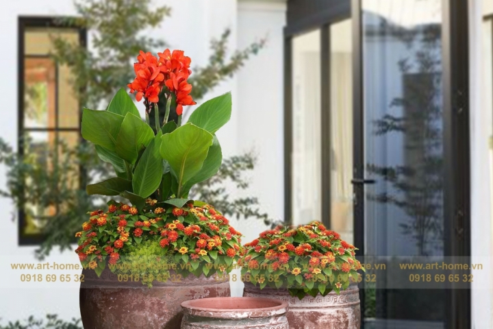  Bring nature into your home with indoor ceramic pots.